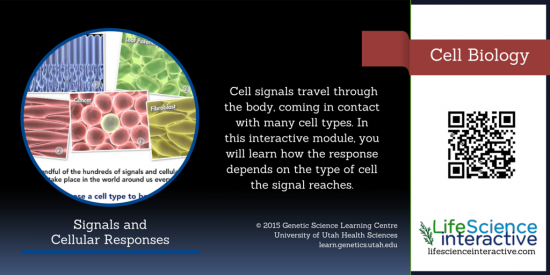 Cell_Biology_Signals_and_cellular_responses