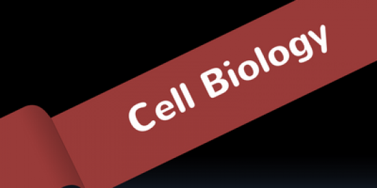 cell-biology-400x339