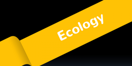 ecology-400x339