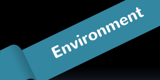environment-400x339