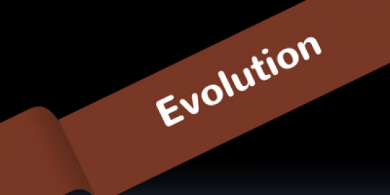evolution-400x339