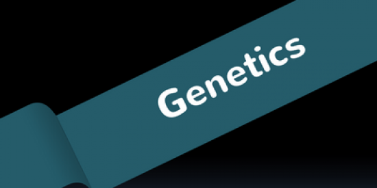 genetics-400x339