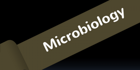 microbiology-400x339